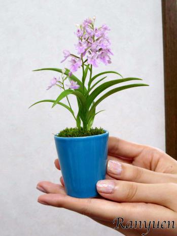 蘭裕園スタイル 蘭裕園 Ranyuen