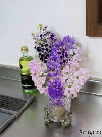 蘭裕園スタイル 蘭裕園 Ranyuen