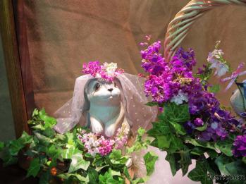 蘭裕園スタイル 蘭裕園 Ranyuen