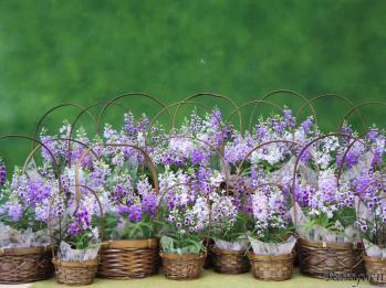 蘭裕園スタイル 蘭裕園 Ranyuen