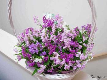 蘭裕園スタイル 蘭裕園 Ranyuen