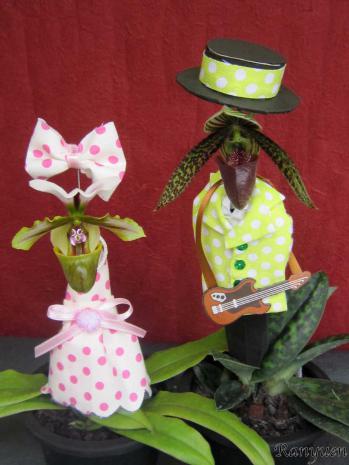 蘭裕園スタイル 蘭裕園 Ranyuen