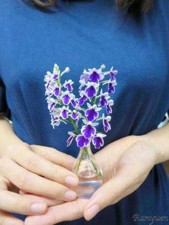 蘭裕園スタイル 蘭裕園 Ranyuen