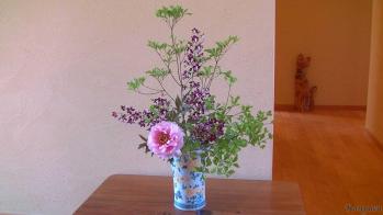 蘭裕園スタイル 蘭裕園 Ranyuen