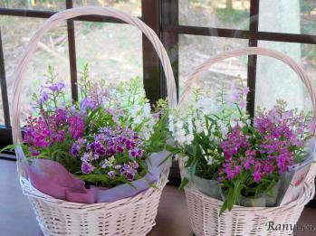 蘭裕園スタイル 蘭裕園 Ranyuen