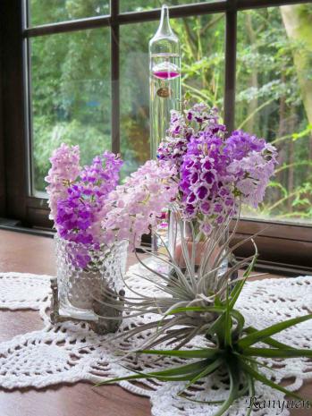 蘭裕園スタイル 蘭裕園 Ranyuen