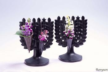 蘭裕園スタイル 蘭裕園 Ranyuen