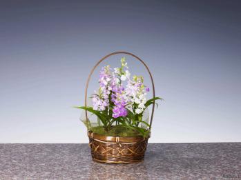 蘭裕園スタイル 蘭裕園 Ranyuen