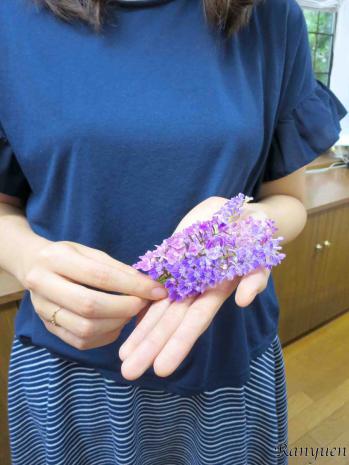 蘭裕園スタイル 蘭裕園 Ranyuen