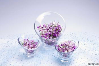 蘭裕園スタイル 蘭裕園 Ranyuen