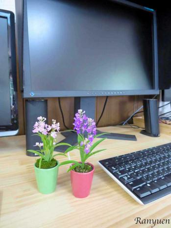 蘭裕園スタイル 蘭裕園 Ranyuen