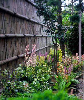 蘭裕園スタイル 蘭裕園 Ranyuen