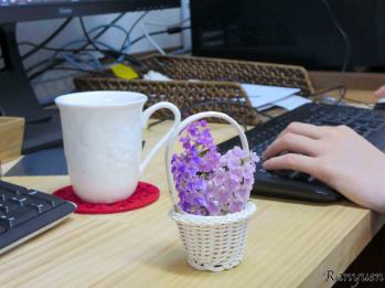 蘭裕園スタイル 蘭裕園 Ranyuen