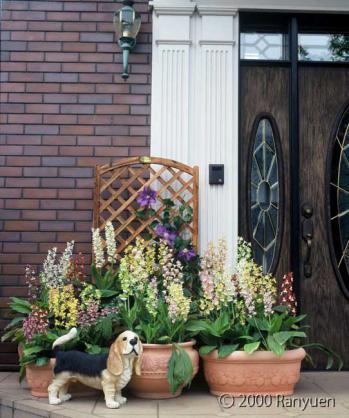 蘭裕園スタイル 蘭裕園 Ranyuen