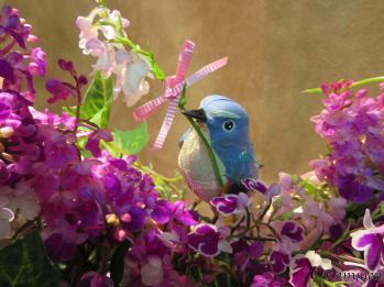 蘭裕園スタイル 蘭裕園 Ranyuen