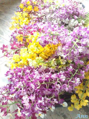 蘭裕園スタイル 蘭裕園 Ranyuen