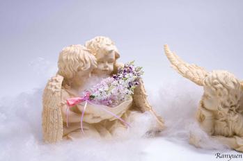 蘭裕園スタイル 蘭裕園 Ranyuen