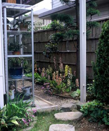 蘭裕園スタイル 蘭裕園 Ranyuen