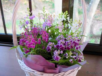 蘭裕園スタイル 蘭裕園 Ranyuen