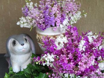 蘭裕園スタイル 蘭裕園 Ranyuen