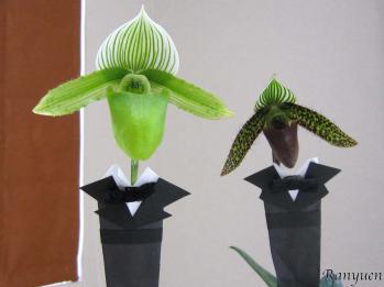 蘭裕園スタイル 蘭裕園 Ranyuen