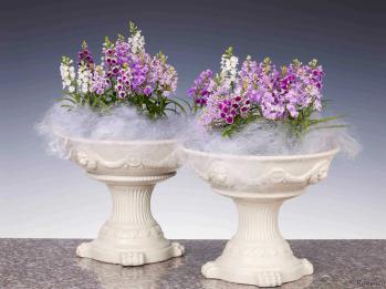 蘭裕園スタイル 蘭裕園 Ranyuen