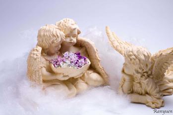 蘭裕園スタイル 蘭裕園 Ranyuen