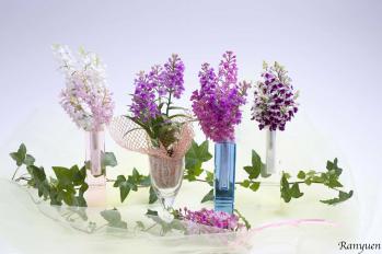 蘭裕園スタイル 蘭裕園 Ranyuen