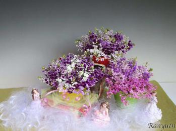 蘭裕園スタイル 蘭裕園 Ranyuen