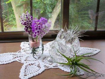 蘭裕園スタイル 蘭裕園 Ranyuen