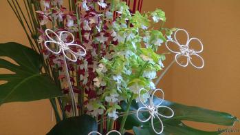 蘭裕園スタイル 蘭裕園 Ranyuen