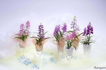 蘭裕園スタイル 蘭裕園 Ranyuen