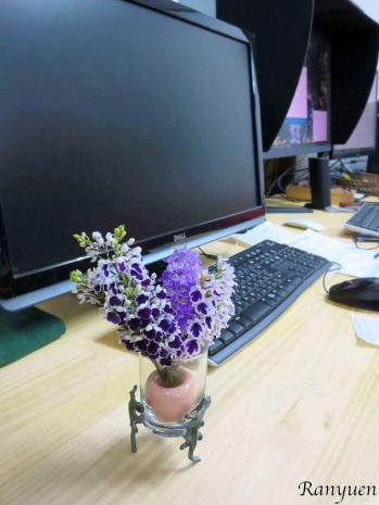 蘭裕園スタイル 蘭裕園 Ranyuen