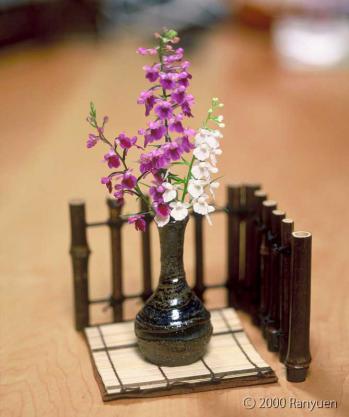 蘭裕園スタイル 蘭裕園 Ranyuen