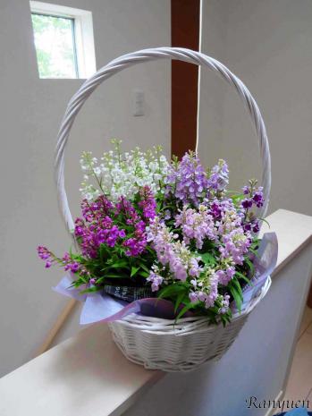 蘭裕園スタイル 蘭裕園 Ranyuen