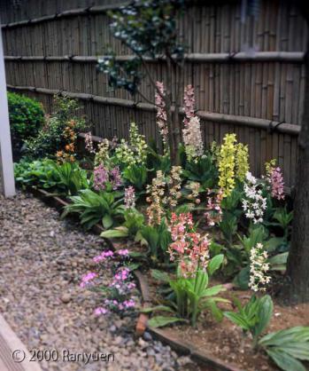 蘭裕園スタイル 蘭裕園 Ranyuen