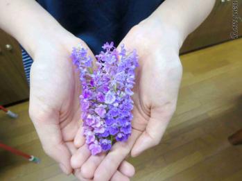 蘭裕園スタイル 蘭裕園 Ranyuen