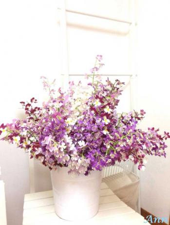 蘭裕園スタイル 蘭裕園 Ranyuen