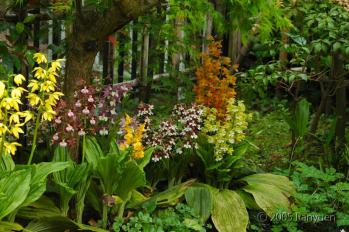 蘭裕園スタイル 蘭裕園 Ranyuen