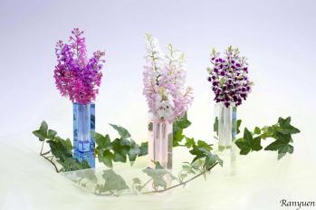 蘭裕園スタイル 蘭裕園 Ranyuen