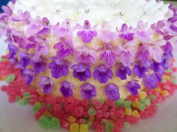 蘭裕園スタイル 蘭裕園 Ranyuen