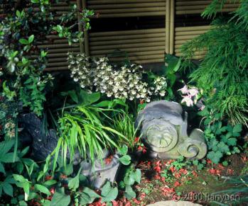 蘭裕園スタイル 蘭裕園 Ranyuen